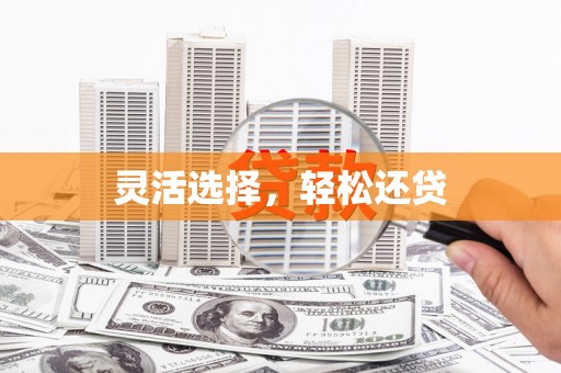 保税港区灵活选择，轻松还贷